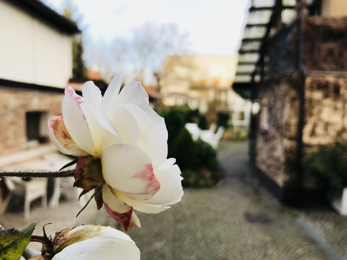Villa Pod Orzechem W Zaniemyslu Eksteriør bilde